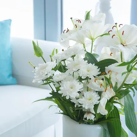 Naxos Rock Stelida (Naxos)